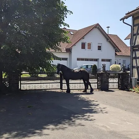 Salztalranch Freiensteinau