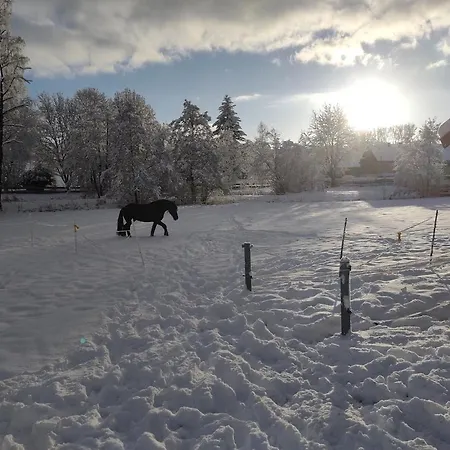 Salztalranch شقة *