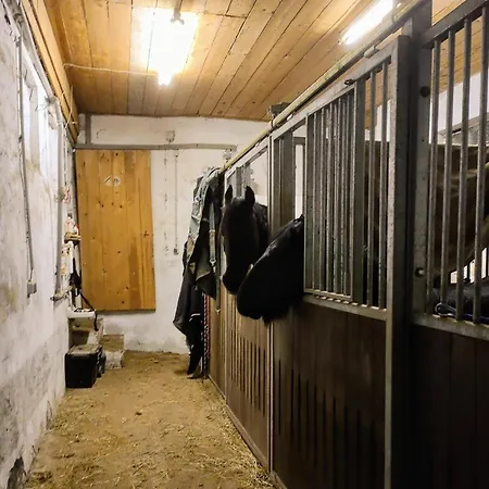 Salztalranch *