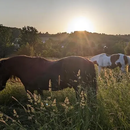 Salztalranch Freiensteinau
