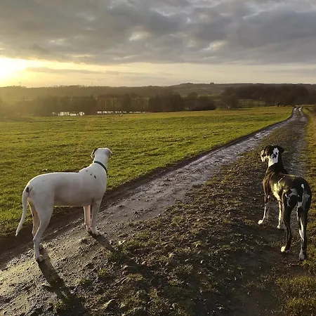 Salztalranch شقة