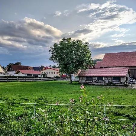 Salztalranch شقة *