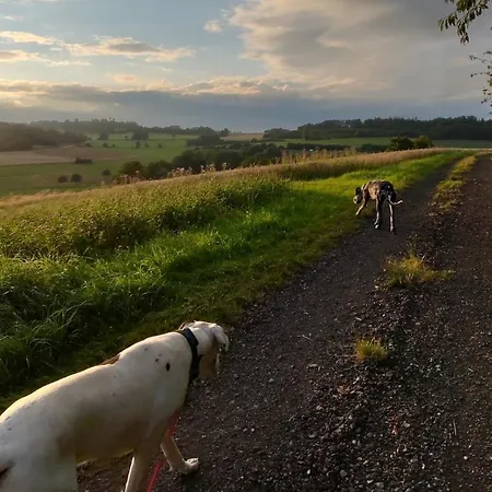 Salztalranch * Freiensteinau