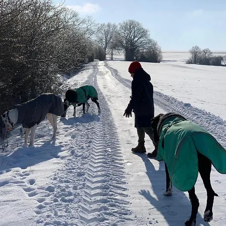 Salztalranch شقة *