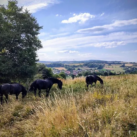 Salztalranch شقة Freiensteinau