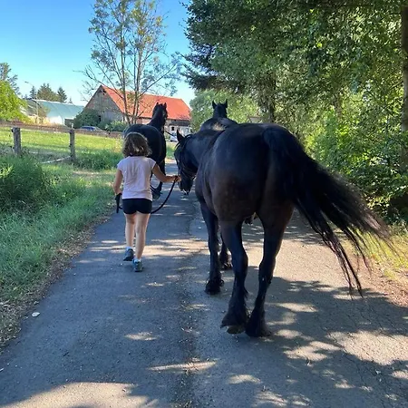 Salztalranch شقة